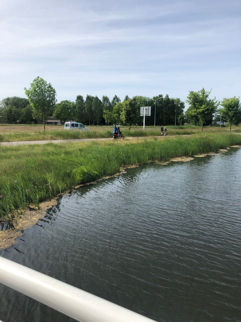 Den Bosch ziet af van maatregelen op het Hooghemaal: ‘aanrijdingen van watervogels is niet erger dan anders’