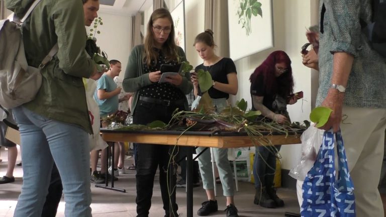 Stekjes ruilmiddag brengt jongeren naar hortus botanicus Leiden