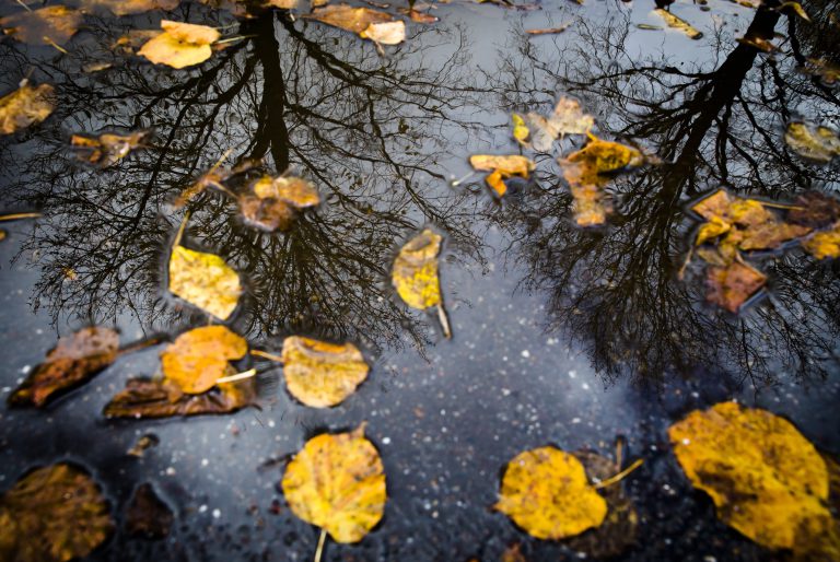 Start van de herfst, dit zijn de weersverwachtingen 