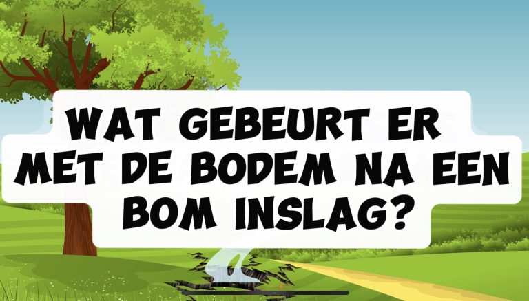 Explainer: Wat doet een bominslag met de landbouwgrond?