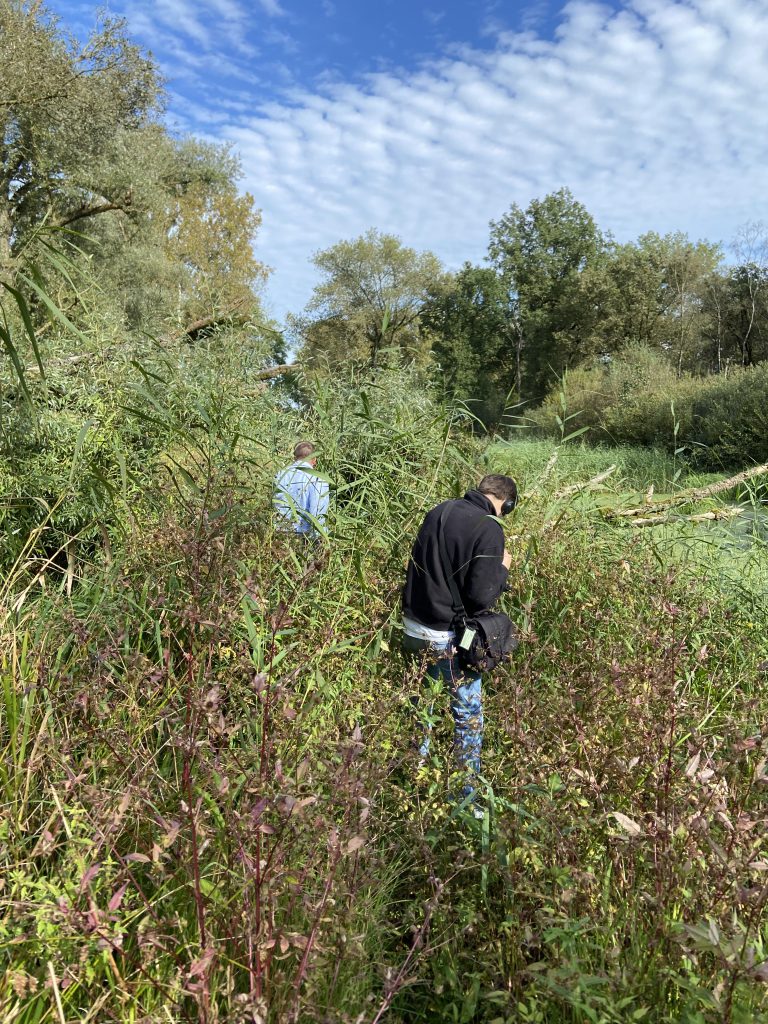 De zoektocht naar de grote waternavel