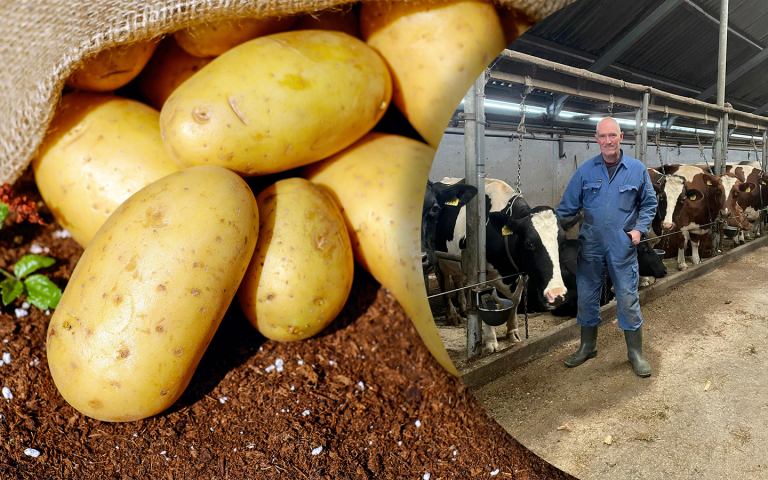 Boeren gevangen in kalenderregels