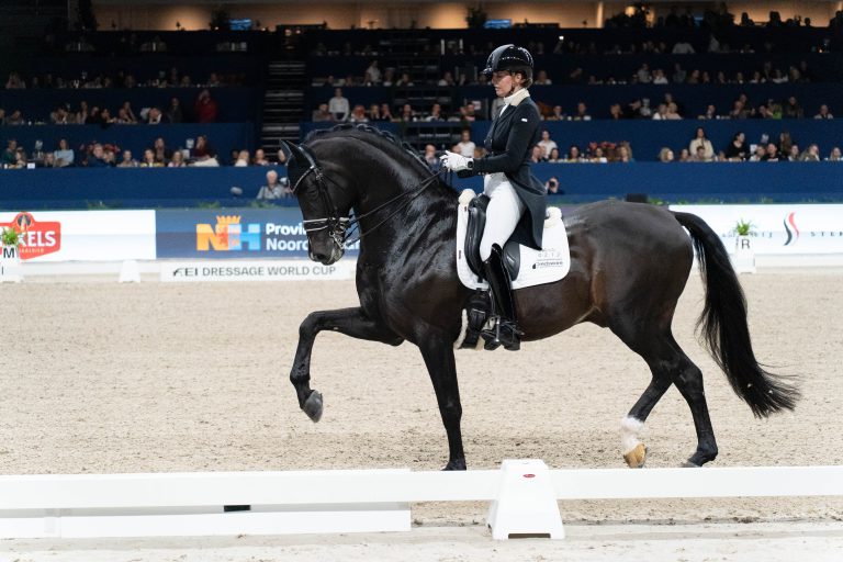 Hippische topsport tijdens Jumping Amsterdam