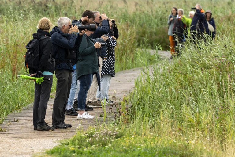 Aangescherpt beleid bij natuurmomenten: ‘Hopen dat we nu nog duidelijker naar bezoekers zijn’