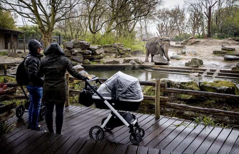 Diergaarde Blijdorp vanaf vandaag rookvrij: ´´Past binnen het nieuwe duurzame beleid´´