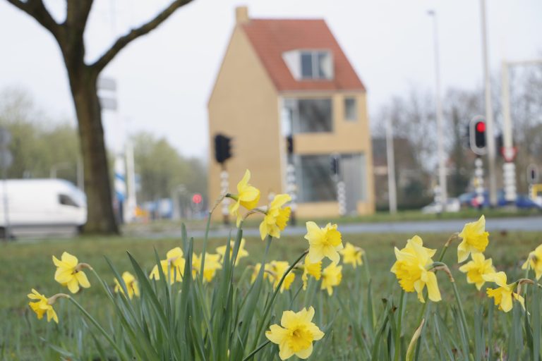 Een ochtend in maart fluistert: ‘De lente begint’