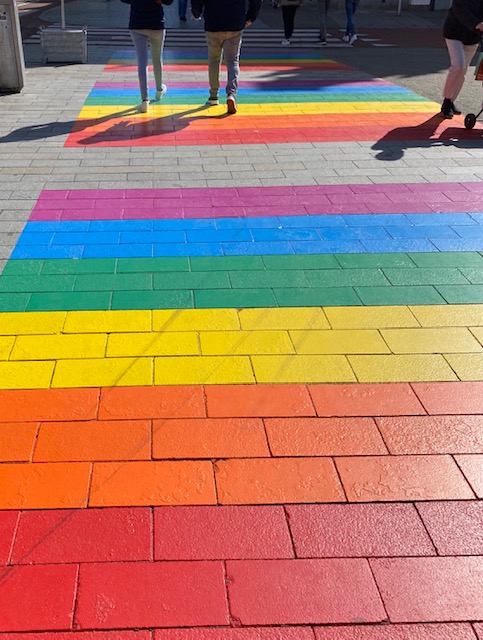 Laatste verfbeurt voor regenboogzebrapad ’s-Hertogenbosch: duurzame oplossing nog niet gevonden