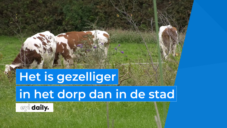 Het is gezelliger in het dorp dan in de stad