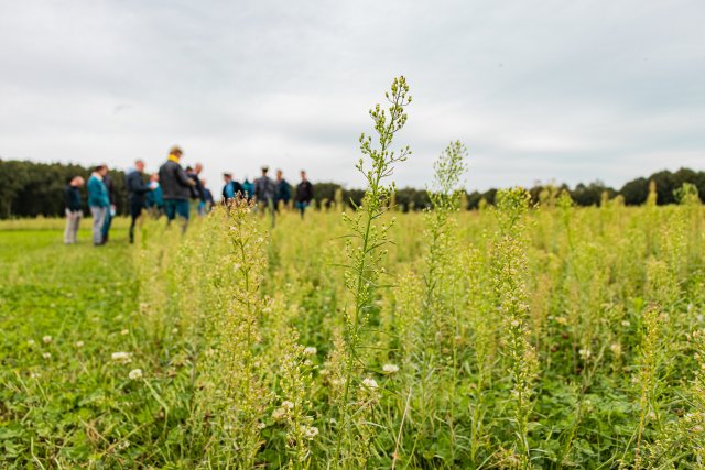 Brabant gaat zelf gestelde natuurdoelen niet halen