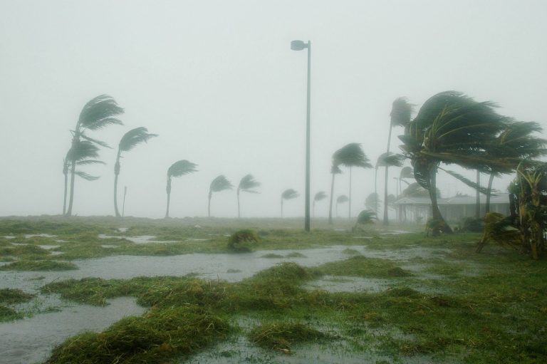 Orkaan Milton dwingt inwoners Florida tot wanhoopsdaad: naam op je lichaam schrijven voor identificatie