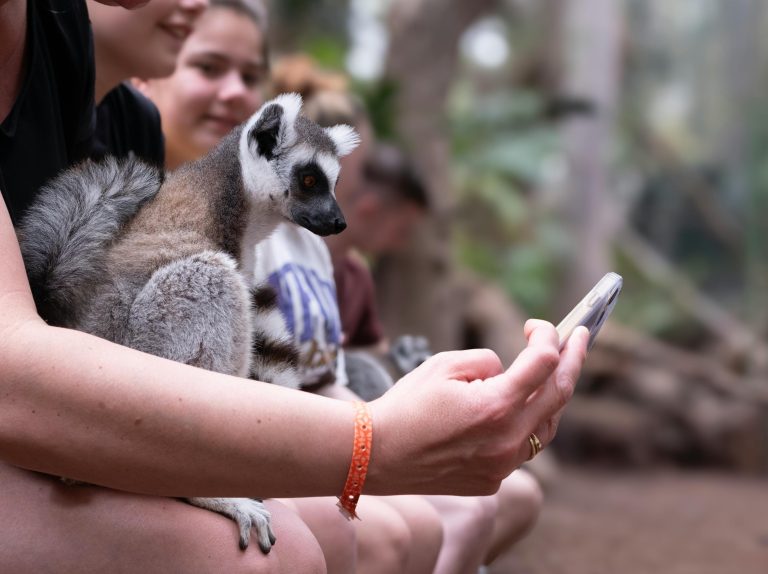 Zijn dieren de dupe van virale filmpjes op social media?