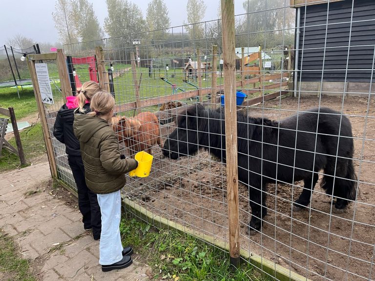 Toekomst ‘Kimderboerderij’ Ridderkerk onzeker: “Ik vind het ontzettend jammer voor ons buurtinitiatief”