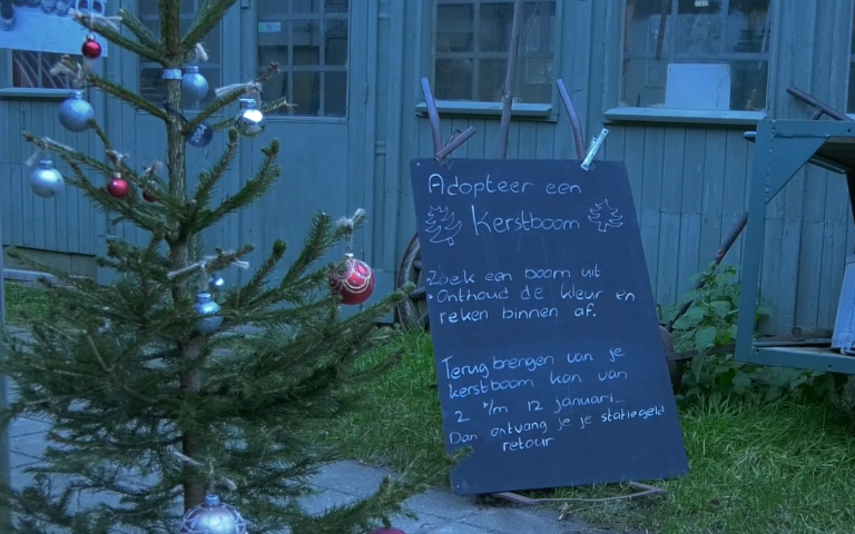 Kerstbomen met een tweede leven als duurzaam alternatief