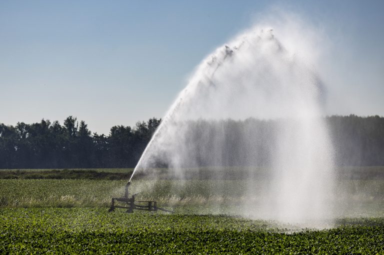Andere Brabantse waterschappen nemen nog geen extra maatregelen tegen droogte