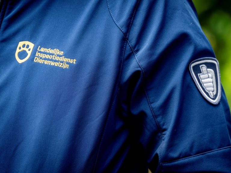 Groeiende problematiek in dierenverwaarlozing: “Het topje van de ijsberg”
