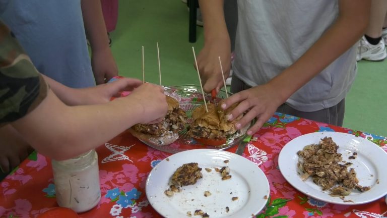 VIDEO| Kok in de Klas